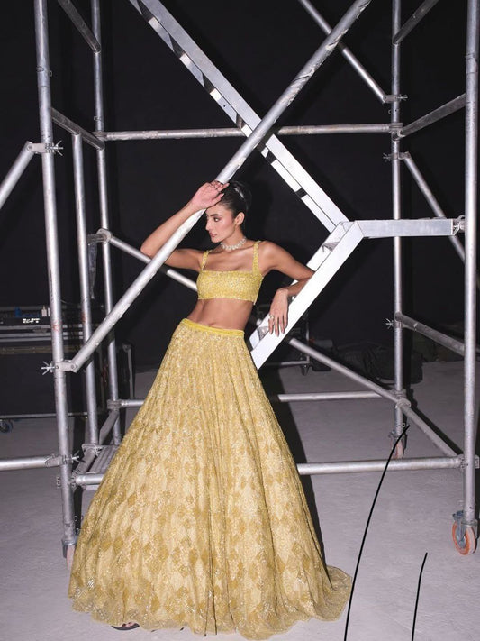 Zehra Butterfly Net Dori & Heavy Sequins Embroidered Lehenga Choli