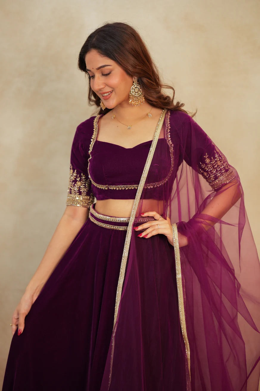 Elvaira Velvet Border-Work Lehenga Choli