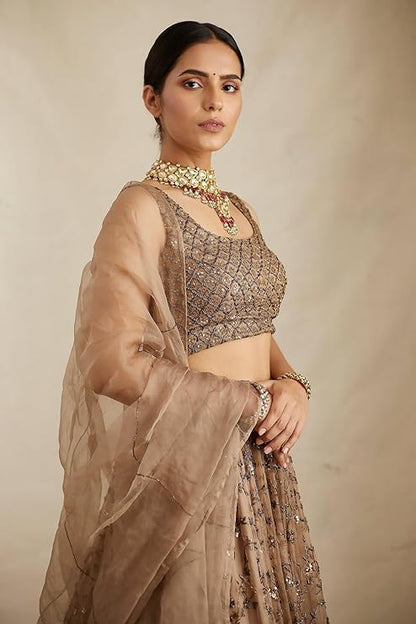 Ishita Net Sequins & Zari Embroidery Lehenga Choli
