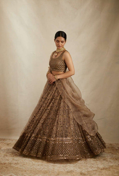 Ishita Net Sequins & Zari Embroidery Lehenga Choli