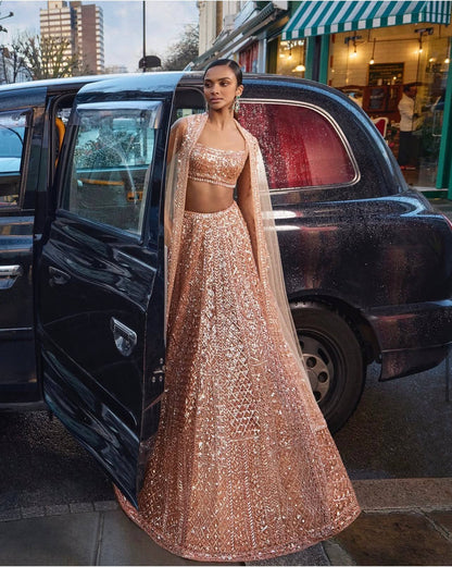 Rukmini Rainbow Sequins Net Lehenga Set